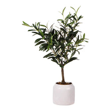 58cm Olive Artificial plant in Cream Speckled Ceramic Pot